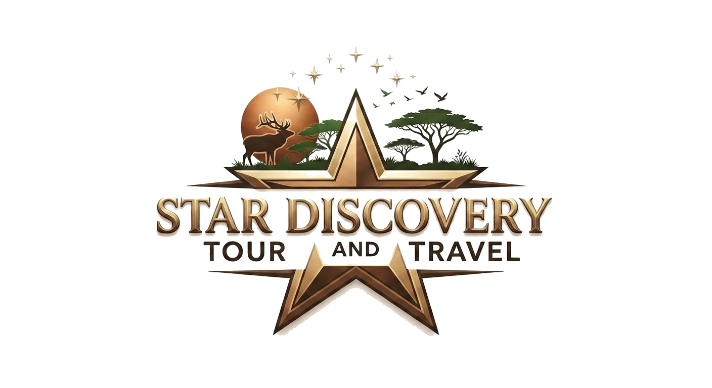 Star Discovery Tour and Travel